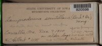 Image Associated With the Occurence